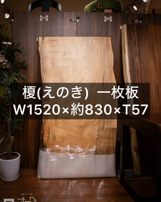 @oak_kagu ≪その他 一枚板はこちらから

〈一枚板入荷情報〉

樹種:榎(えのき)
サイズ:W1520×D約830×T57

国蝶「オオムラサキ」の幼虫を育む木として知られる榎（えのき）🦋
江戸時代には一里塚の目印として植えられ、木陰をつくり旅人を癒してきた歴史を持つ木です。

榎は淡い黄褐色と緻密な木肌、ケヤキに似た雰囲気を持ちながらも優しい表情が特徴。
木目の柔らかなラインが空間にぬくもりをもたらし、靱性と曲げに強い特性から家具材としても高い実用性を誇ります。

こちらは、使いやすいサイズ感に加え、程よいうねりのある耳や緻密な木肌、さらにグレーの木目がアクセントになった一枚です。

自然と歴史が詰まった唯一無二の一枚を、デスクやダイニングテーブルとしてぜひお楽しみください！

🪑- - - - - - - - - - - - - - - - - - - - - - - - - -

🚩 その他の投稿はこちら⇨ @oak_kagu 

✦ 下見やご相談だけも大歓迎！気軽にお越しください💁‍♀️
✦ お子様向けにアニメや絵本などをご用意しています！
✦ ご予算やご要望に応じて柔軟にご提案いたします。

【家具・インテリア館 オーク】
住所 : 山梨県南アルプス市小笠原380-1
営業時間 : 10:00〜19:00(水曜定休)
TEL : 055-282-5251

🪑- - - - - - - - - - - - - - - - - - - - - - - - - -

#家具のオーク #家具 #家具屋 #山梨インテリア #山梨家具 #山梨家具屋 #山梨一枚板 #南アルプス市 #マイホーム計画 #リフォーム計画 #山梨移住 #無垢家具 #無垢材家具 #木工家具 #木製家具 #木の家具 #一枚板探し #家具探し #いえづくり #おうちづくり #インテリア #一枚板 #一枚板テーブル #一枚板ダイニングテーブル #一枚板ローテーブル #榎 #榎一枚板 #エノキ一枚板 #無垢テーブル #無垢材ダイニングテーブル .