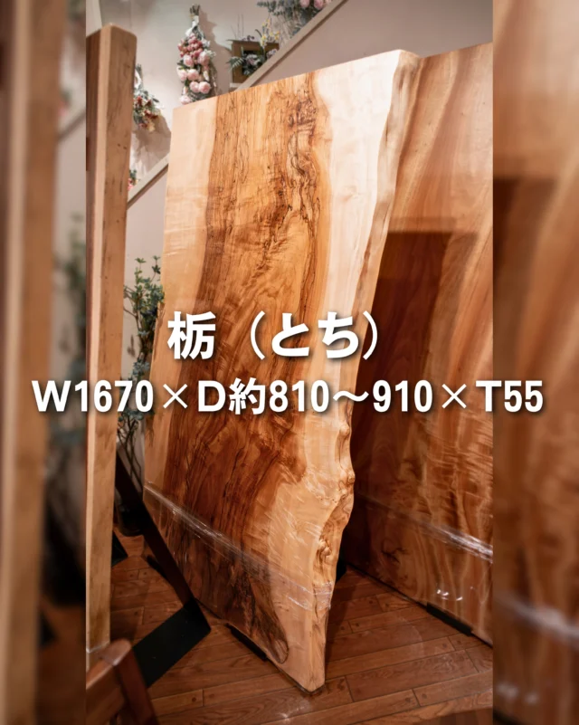 📢【一枚板入荷情報】
白く澄んだ木肌に、自然が描いた模様。

🌳樹種：栃（とち）／スポルテッド杢／国産材
🪵サイズ：W1670×D約810〜910×T55

明るくやわらかな木肌に、スポルテッド杢が印象的に入った、栃の一枚板をご用意できました。

栃は、淡い色合いと絹のような光沢感が魅力の木。
空間に重たさを出しすぎず、明るく上品な雰囲気をつくってくれます。

今回の一枚の見どころは、木肌に走る地図のような模様。

スポルテッド杢とは、木が自然の中で変化していく過程で生まれる、黒いラインや濃淡のある模様のことです。
まるで墨で描いたようにも見えますが、すべて自然がつくり出した一点ものの表情です。

明るい栃の木肌にこの模様が入ることで、やさしい印象の中に、アートのような個性が生まれています。

＊

サイズ感としては、4人用のダイニングテーブルにちょうどよく、毎日の食卓に取り入れやすい一枚。
奥行もしっかりあるため、食事だけでなく、パソコン作業や書き物をするデスクとしても余裕を持って使えます。

また、天板の輪郭には自然な揺らぎがあり、直線的なテーブルにはない、やわらかな表情があります。
空間にほどよい抜け感を添えてくれるのも魅力です。

白く澄んだ木肌と、スポルテッド杢の黒い模様。
やさしさと個性をどちらも楽しめる、栃ならではの一枚です。

👉 一点もののため気になった方は、見逃す前に保存しておいてくださいね✨

🪑- - - - - - - - - - - - - - - - - - - - - - - - - -
⁡
🚩 その他の投稿はこちら⇨ @oak_kagu 
⁡
✦ 下見やご相談だけも大歓迎！気軽にお越しください💁‍♀️
✦ お子様向けにアニメや絵本などをご用意しています！
✦ ご予算やご要望に応じて柔軟にご提案いたします。
⁡
【家具・インテリア館 オーク】
住所 : 山梨県南アルプス市小笠原𝟥𝟪𝟢-𝟣
営業時間 : 𝟣𝟤:𝟢𝟢〜𝟣𝟫:𝟢𝟢(毎週水曜・隔週金曜休み)
𝖳𝖤𝖫 : 𝟢𝟧𝟧-𝟤𝟪𝟤-𝟧𝟤𝟧𝟣
⁡
🪑- - - - - - - - - - - - - - - - - - - - - - - - - -
⁡
#一枚板 #一枚板テーブル
#無垢テーブル #山梨一枚板
#ダイニングテーブル