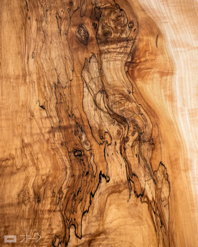 🌳 【この黒い筋、何だと思いますか？】

木目？ 傷？ それとも、誰かが描いた模様？

実はこれ、「菌」がつくり出したものなんです。

こんにちは、スタッフ石川です🌿

＊

今回は、天然木のちょっと不思議な世界
「スポルテッド（Spalted）」をご紹介します！

＊

■ 木の中で繰り広げられる、菌たちの陣取り合戦

スポルテッドとは、菌の活動によって木材に生まれる、独特の模様や色の変化のこと。

特に印象的なのが、複雑に入り組んだ黒い筋。

これは「ゾーンライン（境界線）」と呼ばれるもので、菌が自分の活動領域を区切るように形成する線です。

いわば、菌たちの縄張りを示す境界線。

目には見えない小さな生き物たちの活動が、まるで水墨画のような模様を生み出す。

なんとも不思議で、面白い現象ですよね。

■ 美しさだけでは判断できない木材

スポルテッドは、メープル（カエデ）や栃など、さまざまな樹種に現れます。

ただし、菌の活動によって木材の組織が変化するため、状態によっては強度が低下していることもあります。

そのため、家具材として使う場合には、模様の美しさだけでなく、木材の健全性や強度、乾燥状態を見極めることが大切です。

■ 自然が生み出す、世界にひとつの模様

菌の種類や活動した環境、時間によって、模様の現れ方は千差万別。

細く繊細な線が重なるもの。
大胆な曲線が広がるもの。
まるで地図や風景画のように見えるもの。

同じ模様は、二つとありません。

一般的には木材の欠点と捉えられることもある変色が、見る人によっては、何よりも魅力的な個性になる。

整った木目や均一な色合いだけが、木材の美しさではない。

こうした予想外の表情に出会えることも、天然木の面白さだと思います🌿

皆さんには、この黒い筋が何に見えますか？

🪑- - - - - - - - - - - - - - - - - - - - - - - - - -
⁡
🚩 詳細はプロフィールのリンクから⇨ @oak_kagu
⁡
✦ 下見やご相談だけも大歓迎！気軽にお越しください💁‍♀️
✦ お子様向けにアニメや絵本などをご用意しています！
✦ ご予算やご要望に応じて柔軟にご提案いたします。
⁡
【家具・インテリア館 オーク】
住所 : 山梨県南アルプス市小笠原380-1
営業時間 : 12:00〜19:00(毎週水曜・隔週金曜休み)
TEL : 055-282-5251
⁡
🪑- - - - - - - - - - - - - - - - - - - - - - - - - -
⁡
#インテリアショップ
#無垢材家具 #木工家具
#木製家具